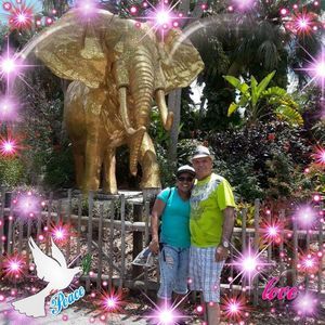 Meet your Posher, Vickycita